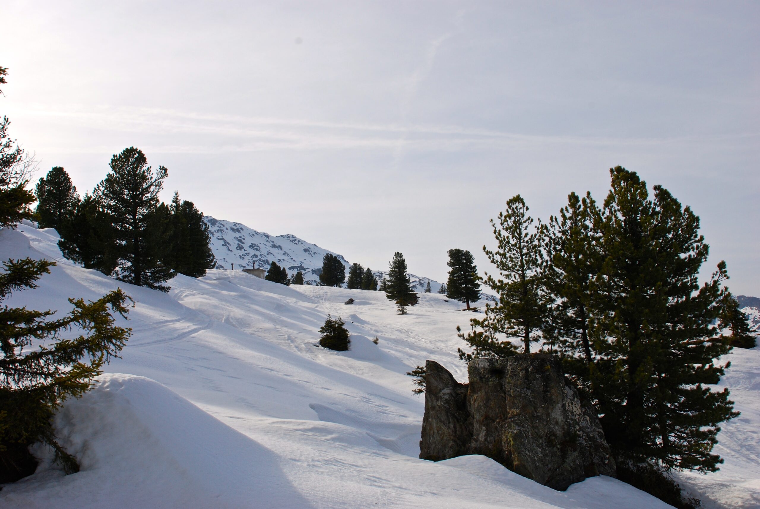 **Neues Jahr, neues Glück?