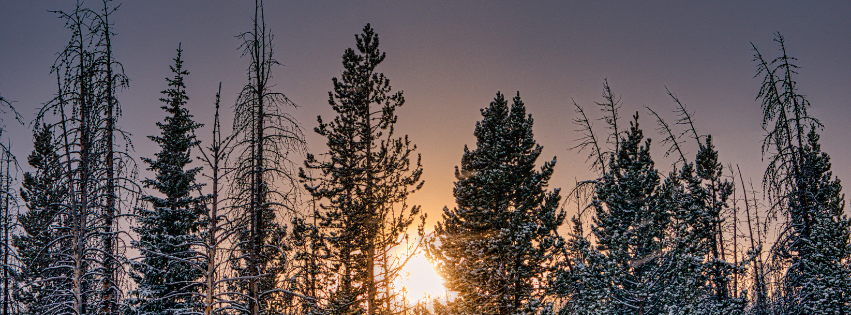 24 Tage für dein Nervensystem – ein achtsamer Adventskalender
